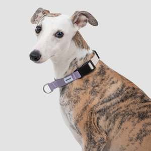 Valley Series Dog Half P-chain Training Collar [Milk Purple]