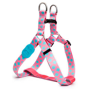 Colorful Series Y-Shaped Harness [Bobby]