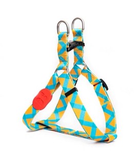 Colorful Series Y-Shaped Harness [Sunrise]