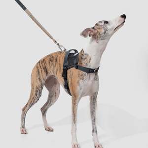 Dog Leashes: Valley Series Dog Multifunctional Buffer Traction Rope [Buckwheat Gray]