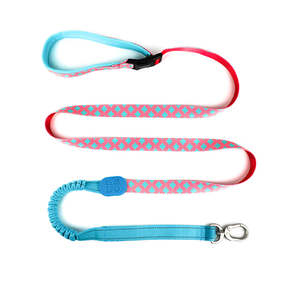 Dog Leashes: Colorful Pro Series Multipurpose Buffer Dog Leash [Bobby]