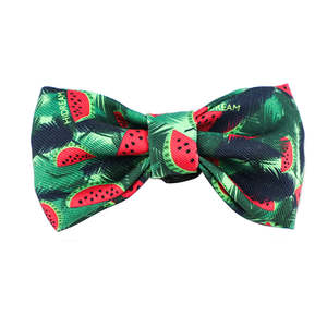 Colorful Series Bow Tie [Watermelon]