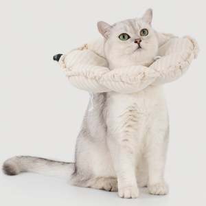 Flower Shaped Elizabeth Collar for Dog & Cat [Egg White - New]