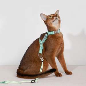 BOBO Series Freedom Exploration Cat H-Shape Harness and Leash Set [Moonlight Green]