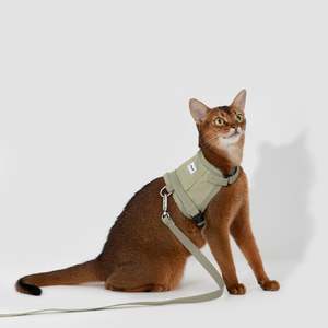 Valley Series: Valley Series Vest-Style Cat Harness and Leash Set [Olive Green]