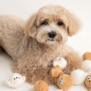 🐶Puppy Spiky Squeaky Chew Balls Set (2 pcs)