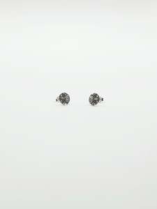 SOME SAND DOLLAR EARRINGS
