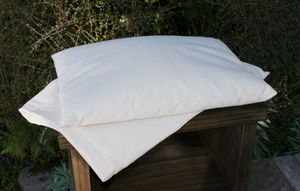 Products: Buckwheat Hull Pillow