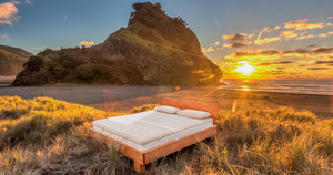 Products: Dorsal Contoured Seed Foam Pillow
