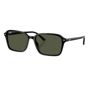 Ray-Ban Raimond RB2231 901/31 - Black Frame with Green Lens