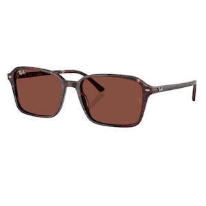 Unisex Sunglasses: Ray-Ban Raimond RB2231 1416C5 - Transparent Fantasy Violet/Red Frame, Red Lens