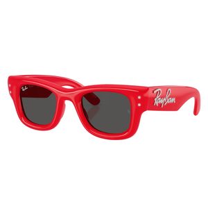 Ray-Ban RB4940B Wayfarer Puffer Crystal Edition 686187 Sunglasses