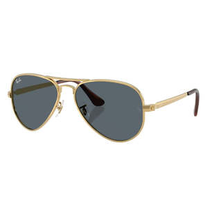 Ray-Ban RB3925 Aviator Max 001/R5 Sunglasses