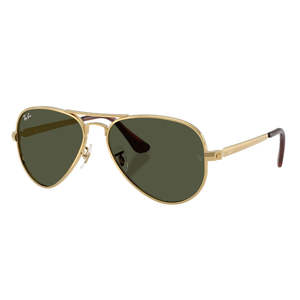 Ray Ban Sunglasses: Ray-Ban RB3925 Aviator Max 001/31 Sunglasses