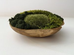 Wall Art: Soothing scenes