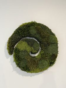 Wall Art: Rimu Koru
