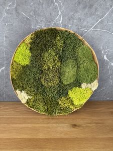 Wall Art: Valley Light