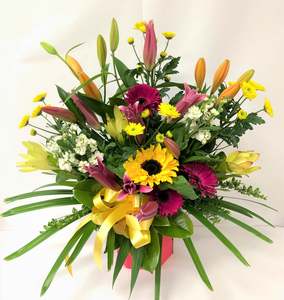 Mothers Day Water Boxes: Large Bright Mixed Waterbox with Sunflower
