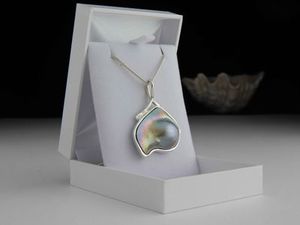 Michel Girardin: Michel Girardin pendant 820