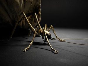 Ken Auton: Ken Auton bronze Cave Weta male