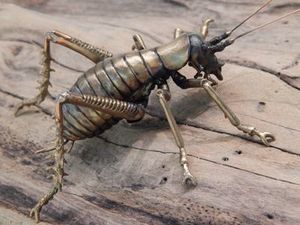Ken Auton bronze Tree Weta female