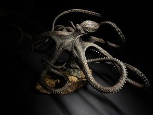 Ken Auton 'Giant Pacific Octopus' bronze sculpture