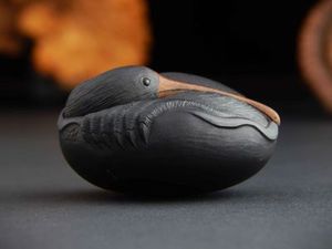 Nesting Kiwi carving by Doug Marsden