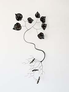 Night Sky Under a Night Sky - Small Fry Gather. Galaxiidae and Kawakawa.