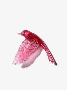 Whitehead / Pōpokotea