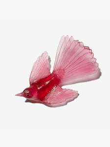 Luke Jacomb Studio Artist Works For Sale: Fantail / Pīwakawaka