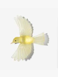 Luke Jacomb Studio Artist Works For Sale: Yellowhead / Mōhua