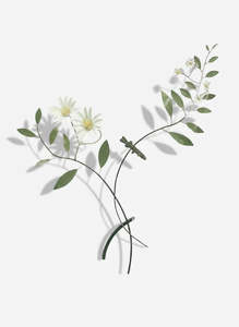 Bing Dawe Artist Works For Sale: Taking a Closer Look - Streamside Daisy with Galaxiiae by Bing Dawe