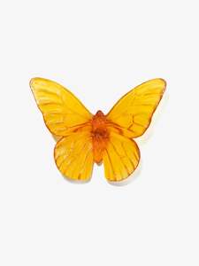 Classic Butterfly Monarch