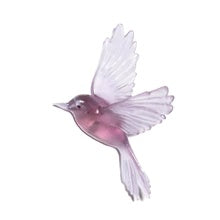 Fernbird / Matata