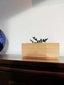 Tawa Keeper — Chamaedorea (Chamaedorea elegans)
