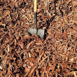 Products: 6B Cambium Mulch Garden Mulch Gammans Tauranga
