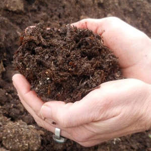 Mushroom Compost - - - [SCOOP]