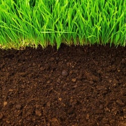 Lawn Construction Mix - - - [SCOOP]