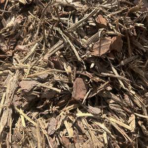 Bark Mulch: Standard Bark Mulch (20-50mm) - - - [SCOOP]