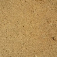 Fresh Untreated Sawdust - - - [SCOOP]