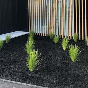 Black Forest Mulch - - - [SCOOP]