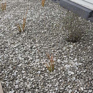 Tailings (20-40mm) - - - [20ltr Bag]