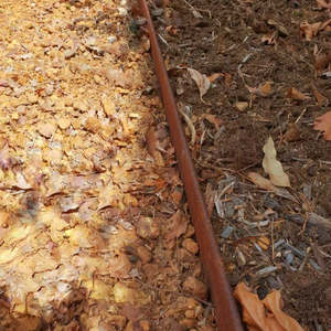 Straightcure Corten Steel Edging: Straightcurve 150mm 2.2m Ridgidline (Weathering Corten)