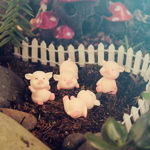 Products: Lil Piggies