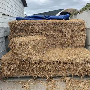 Pea Straw - Bales On Special NOW