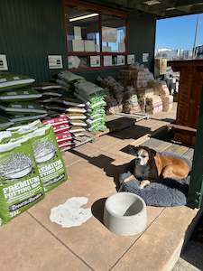 Dog Bowl Concrete - Large 5 Ltr