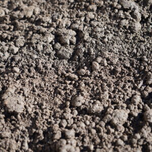 Products: Worm Casting