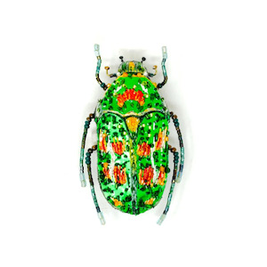Rainbow flower bettle brooch