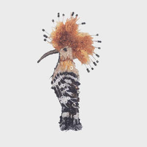 All: Eurasian Hoopoe brooch