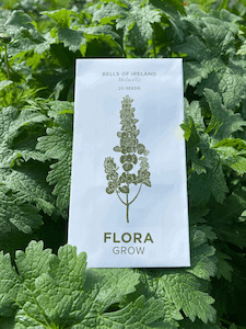 Garden Outdoors: BELLS OF IRELAND - MOLUCELLA LAEVIS